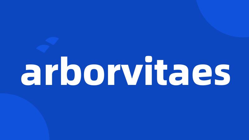 arborvitaes