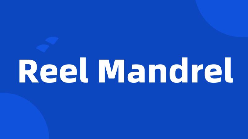 Reel Mandrel
