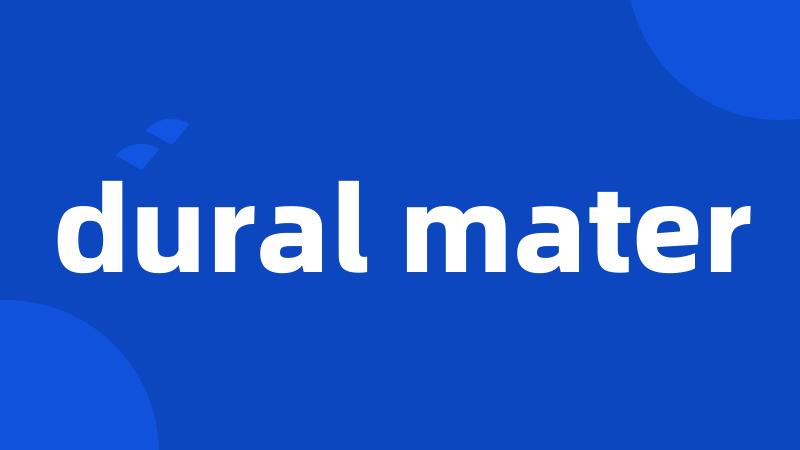 dural mater