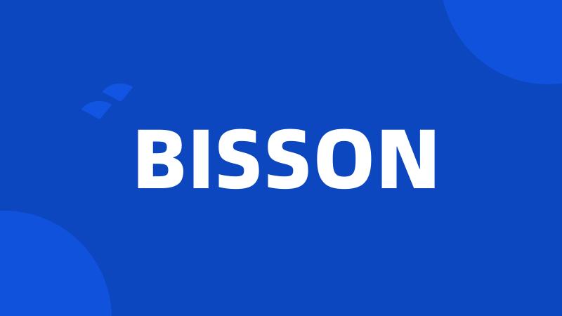 BISSON