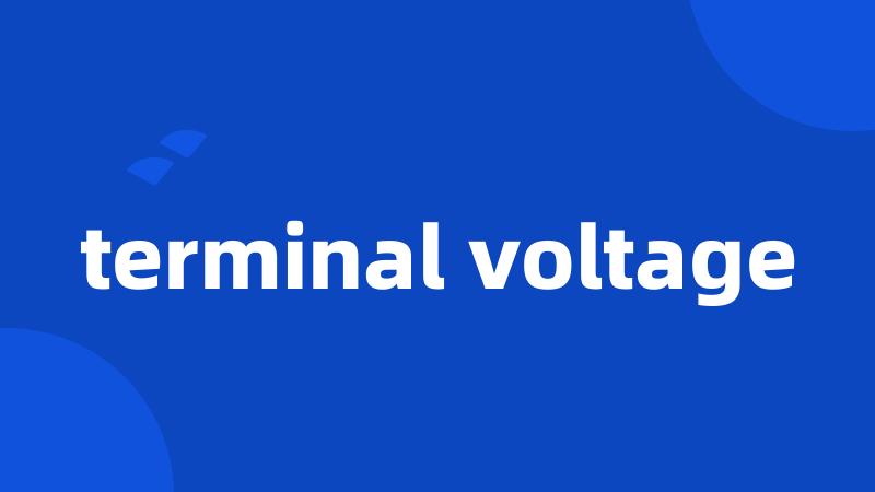 terminal voltage