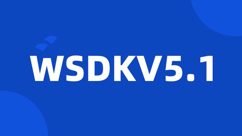 WSDKV5.1