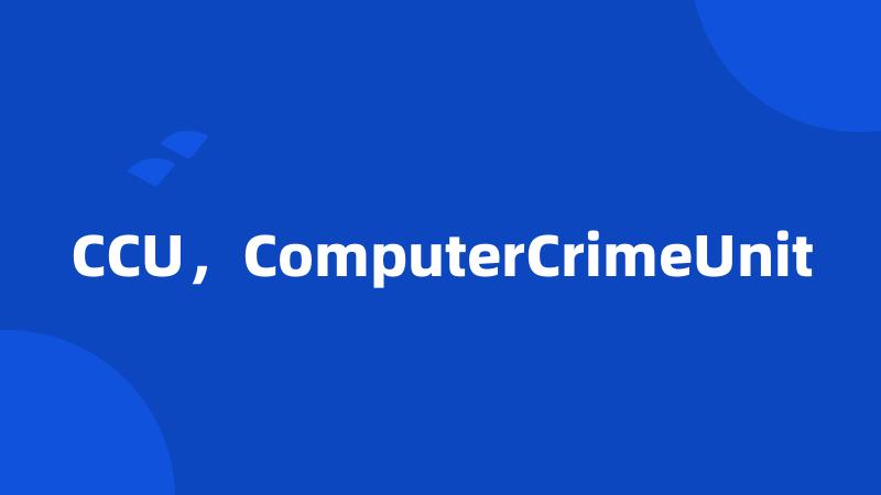 CCU，ComputerCrimeUnit