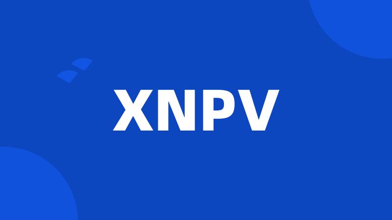 XNPV