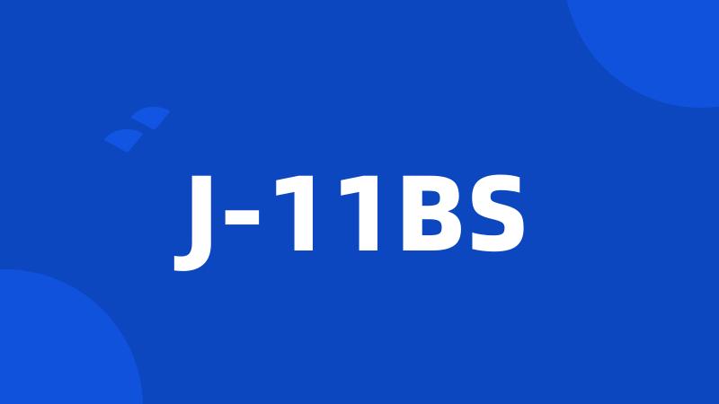 J-11BS