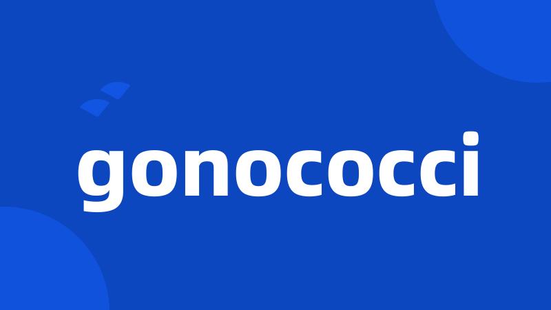 gonococci