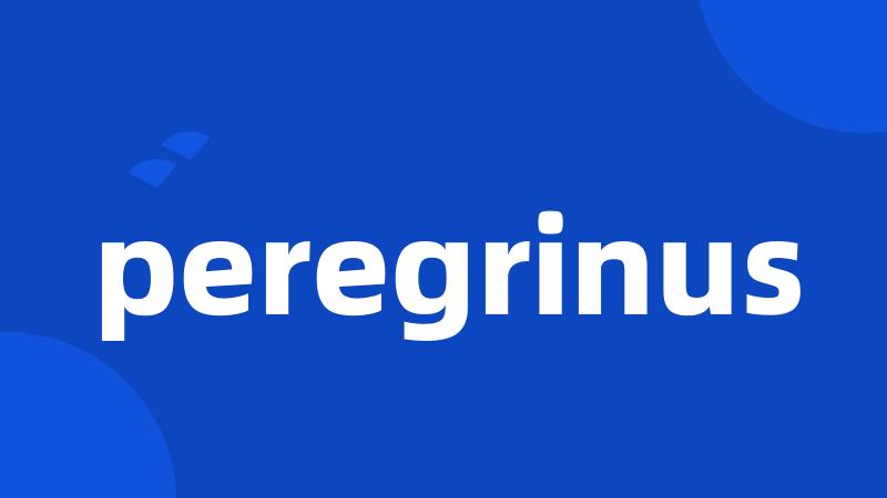 peregrinus