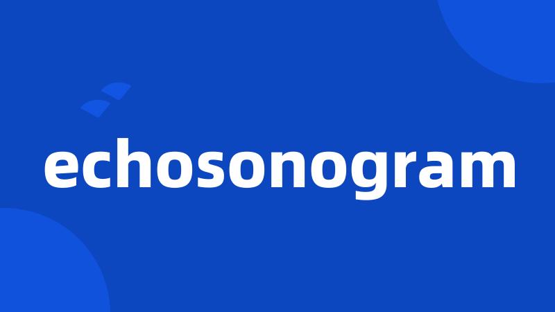 echosonogram