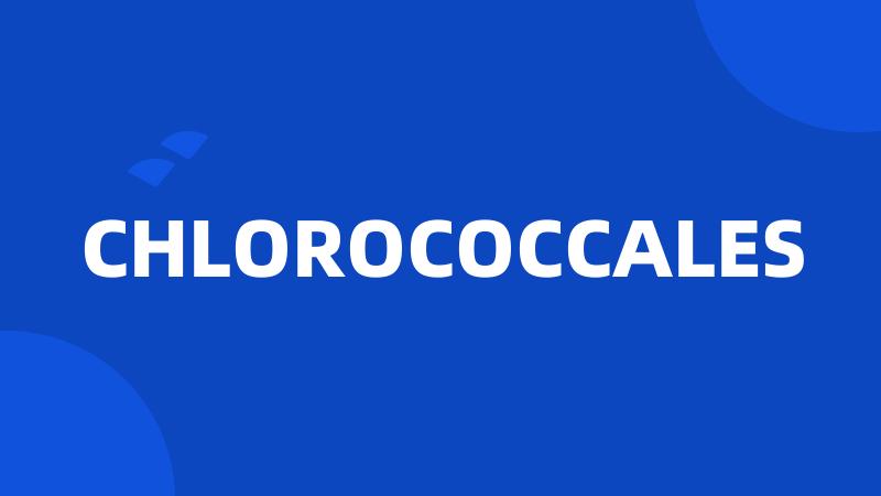 CHLOROCOCCALES