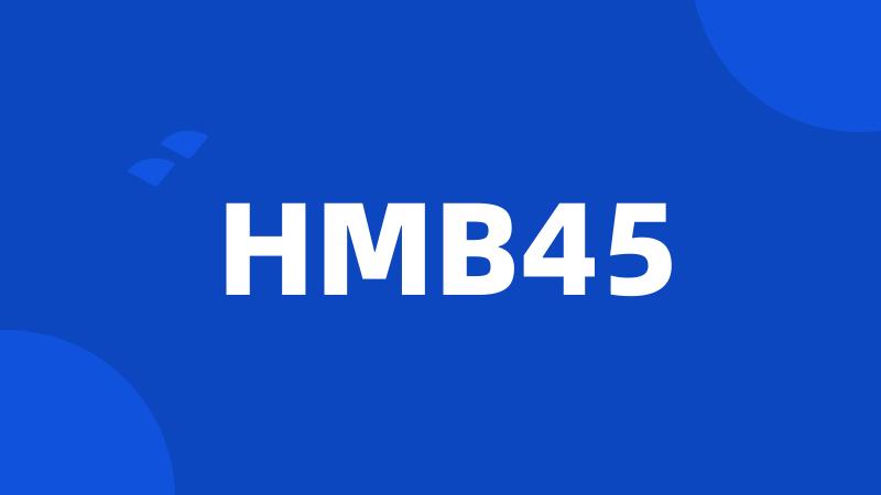 HMB45