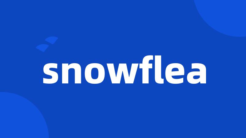 snowflea