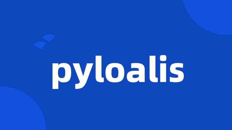 pyloalis