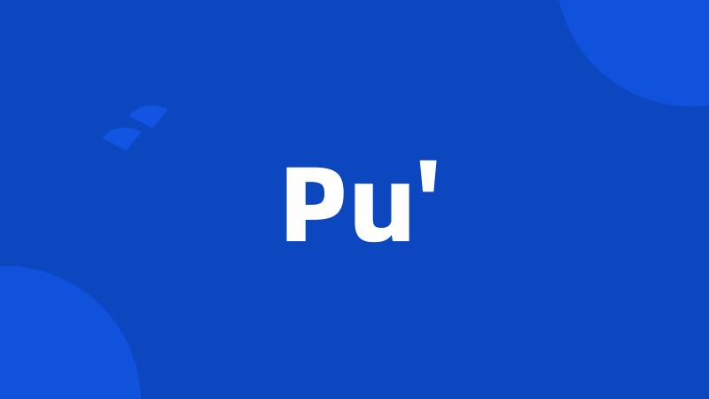 Pu'