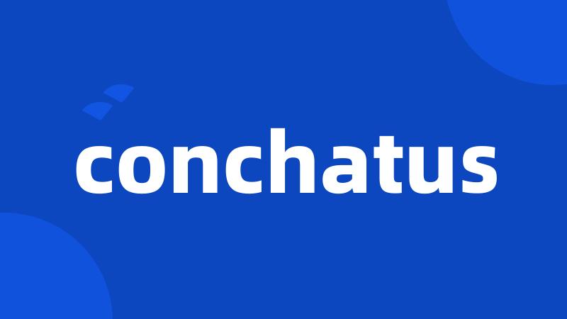 conchatus