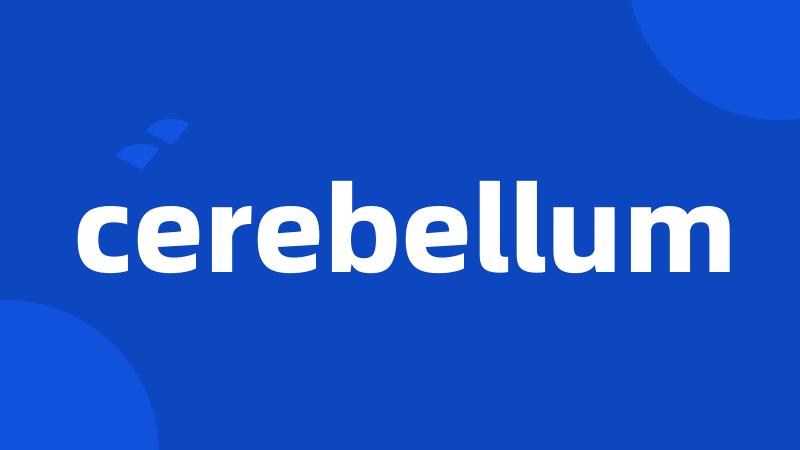 cerebellum