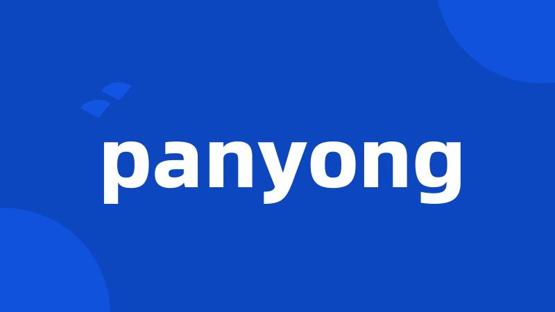 panyong