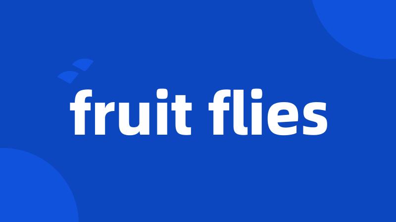 fruit flies