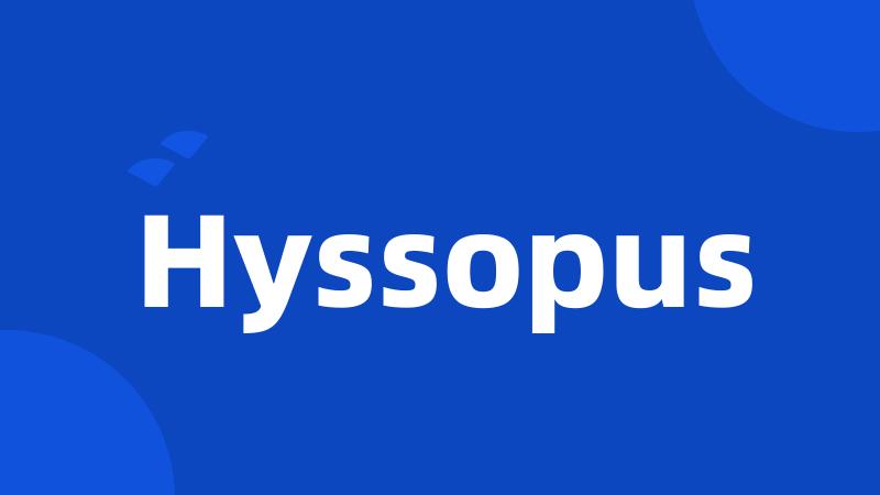 Hyssopus