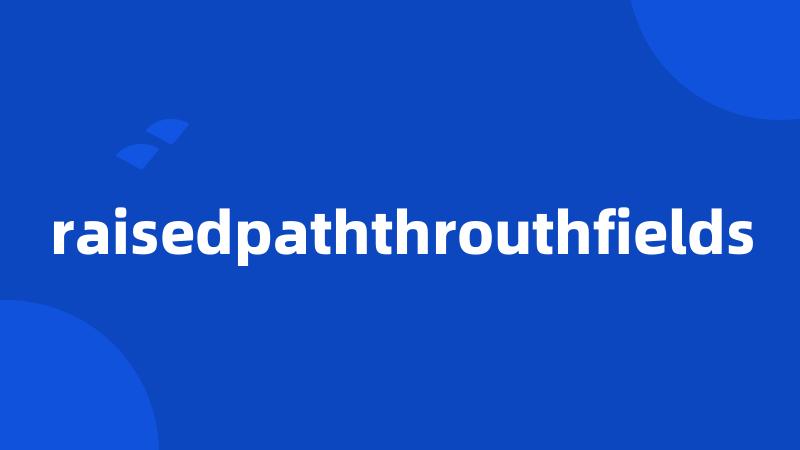 raisedpaththrouthfields