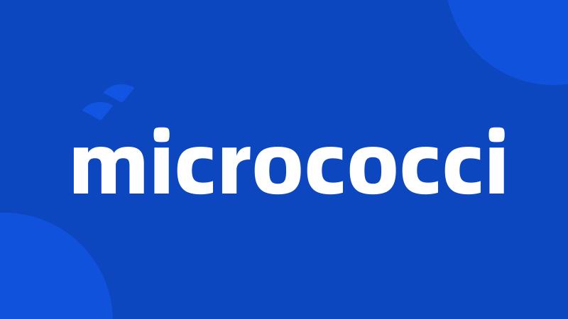 micrococci