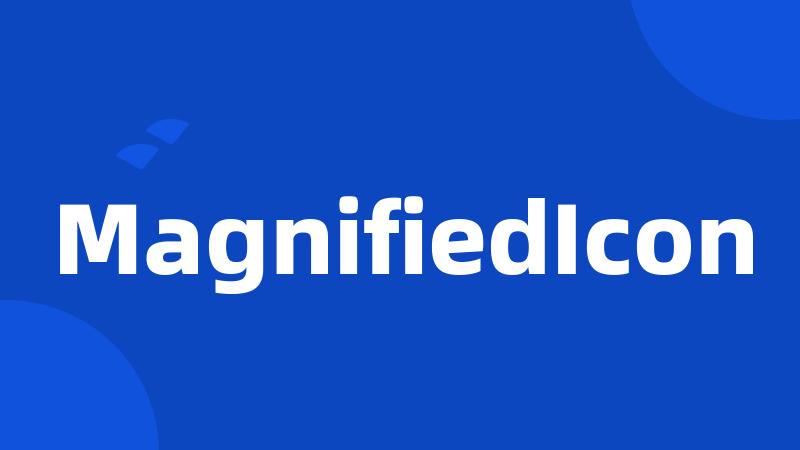 MagnifiedIcon