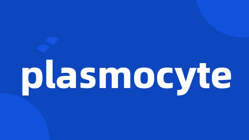 plasmocyte