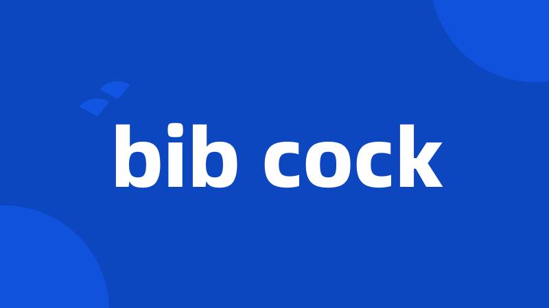 bib cock