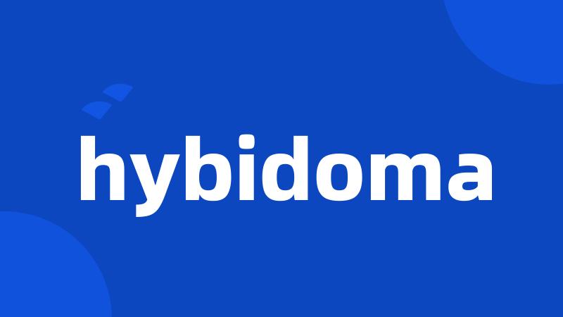 hybidoma