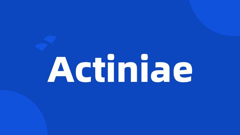 Actiniae