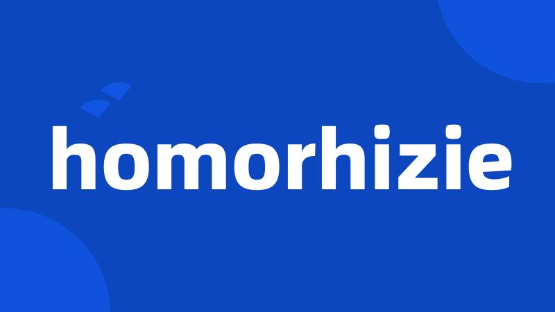 homorhizie