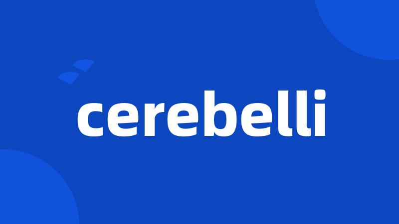 cerebelli