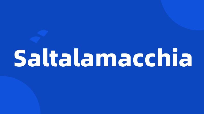 Saltalamacchia