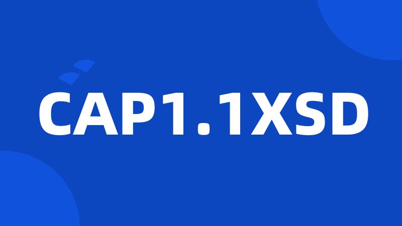 CAP1.1XSD