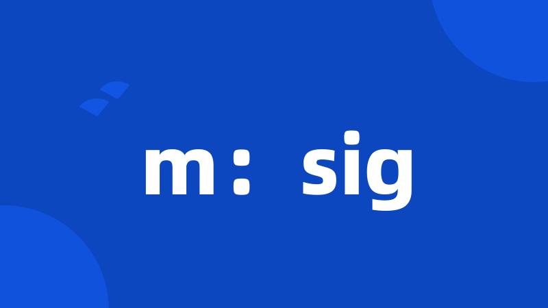 m：sig