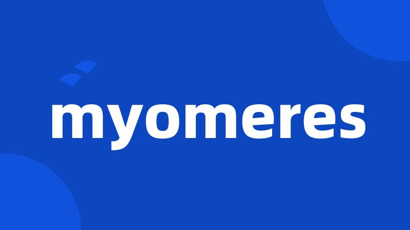 myomeres