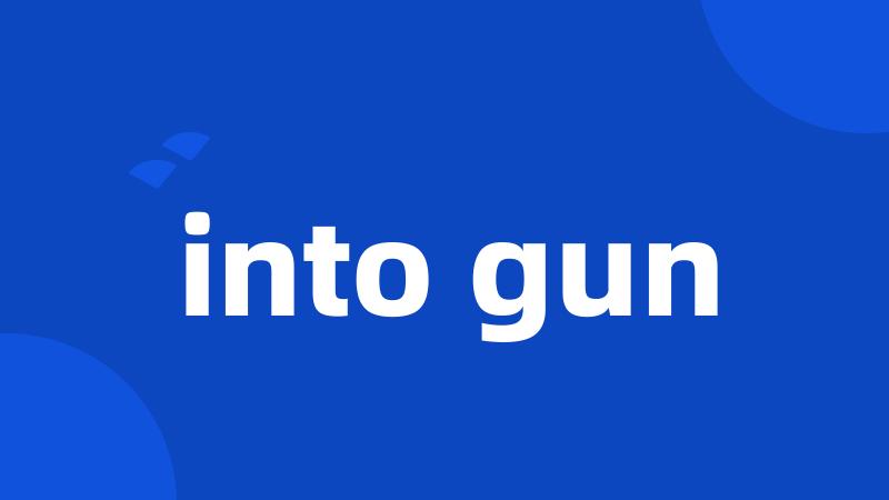 into gun