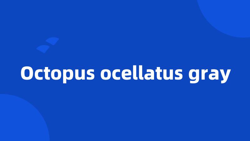 Octopus ocellatus gray