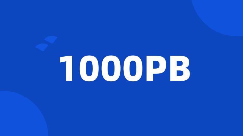 1000PB