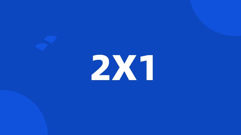 2X1