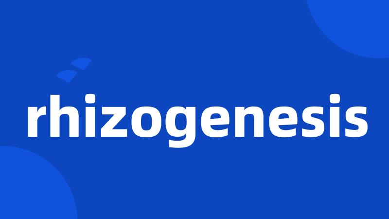 rhizogenesis