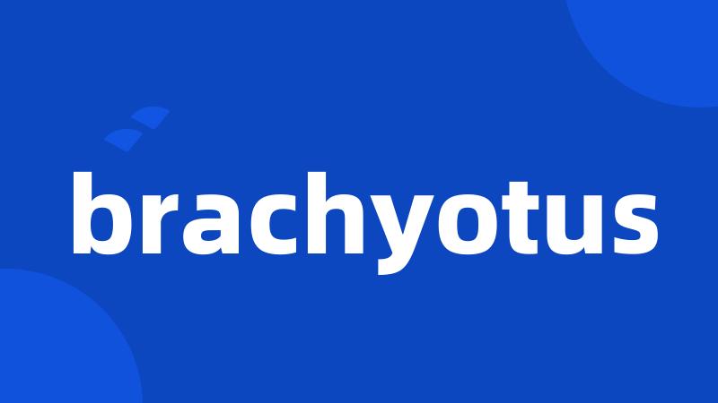 brachyotus