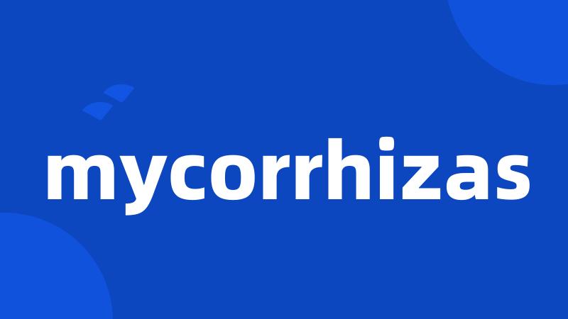 mycorrhizas