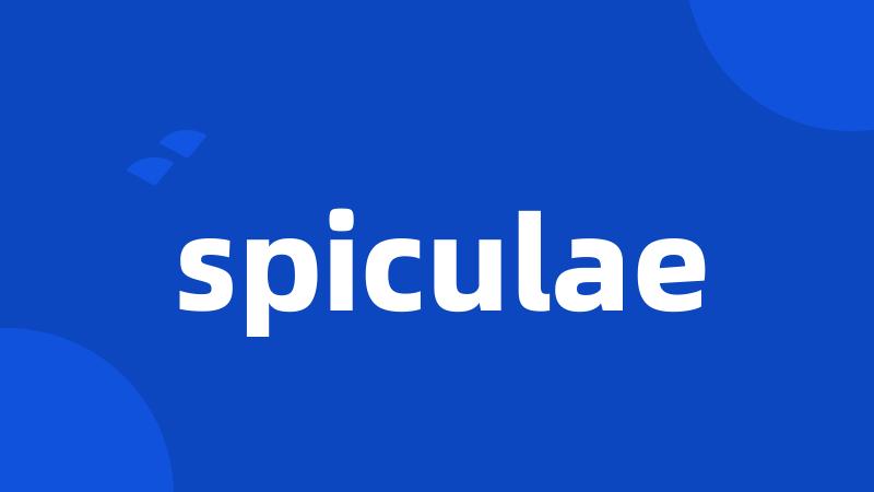 spiculae