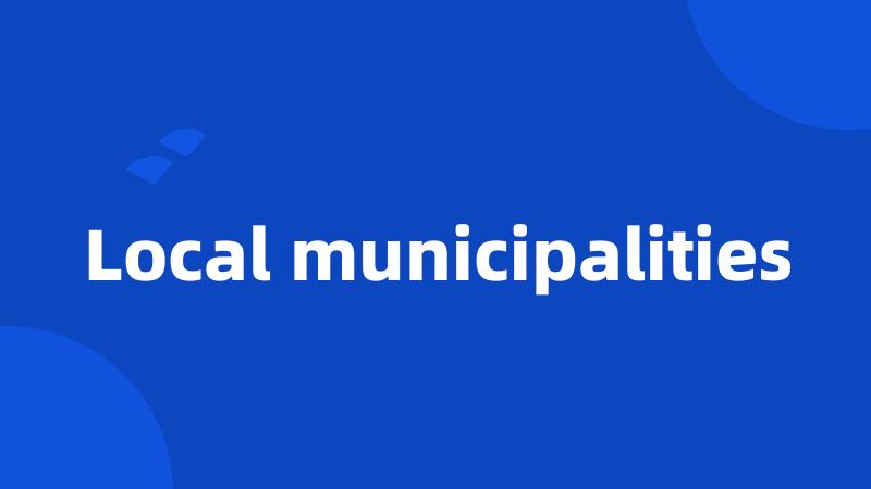 Local municipalities