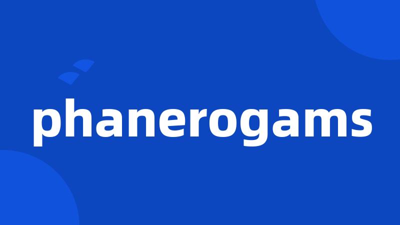 phanerogams