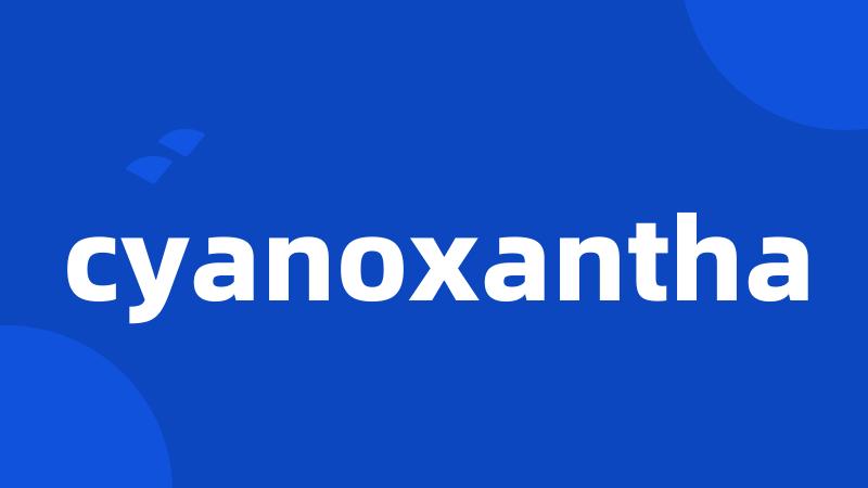 cyanoxantha