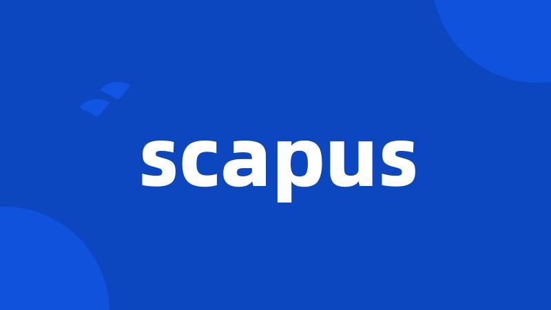 scapus