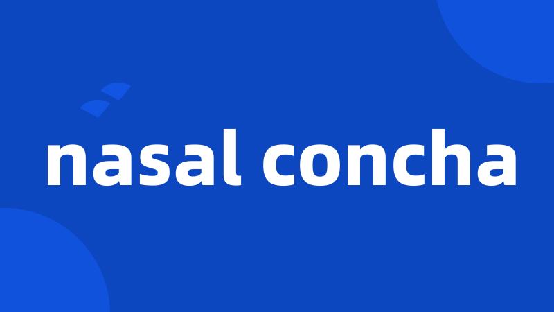 nasal concha
