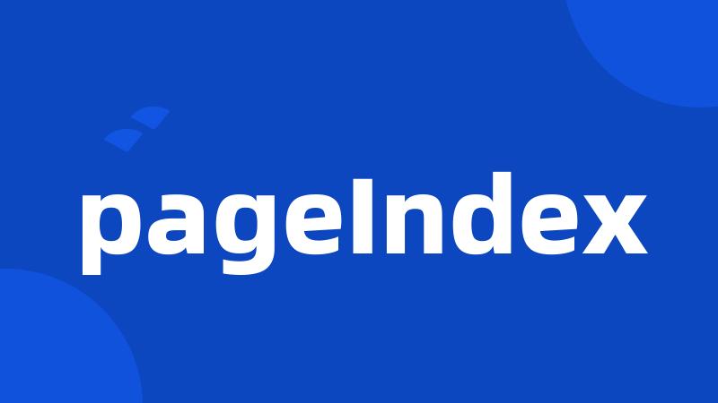 pageIndex
