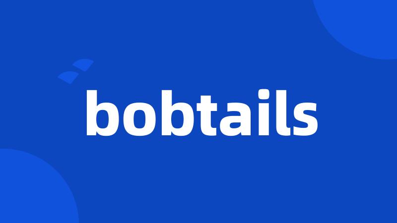 bobtails